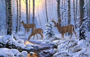 light, snow, forest, animals, deer