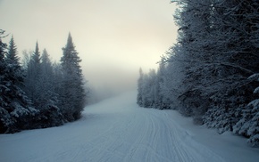 winter, nature, snow