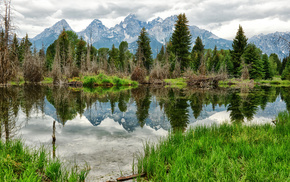 forest, mountain, nature, lake