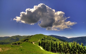 trees, landscape, clouds, nature, mountain