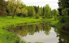 lake, nature, glade, forest