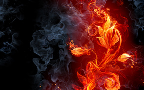 flower, creative, smoke, black, red
