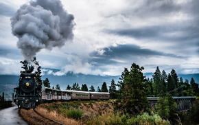 smoke, road, trees, greenery, sky