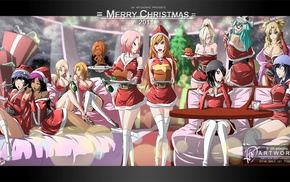 Sui, Feng, Christmas, Matsumoto Rangiku, Noel, crossover