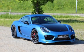 blue, nature, tree, cars, sportcar