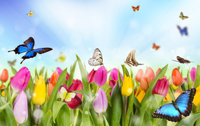 beautiful, photoshop, spring, tulips, flowers