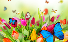 stunner, beautiful, tulips, spring, flowers