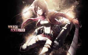 anime, Mikasa Ackerman, Shingeki no Kyojin, anime girls