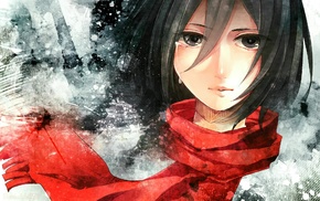 Shingeki no Kyojin, anime girls, Mikasa Ackerman, anime