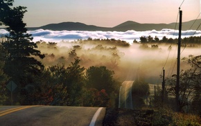 mist, hill, road, landscape, forest