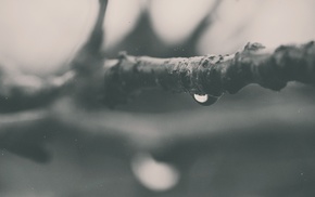 macro, water drops