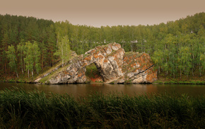 forest, sky, trees, lake, rock