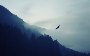 eagle, mountain, minimalism, trees