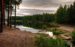 forest, trees, lake, landscape