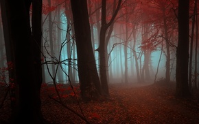 nature