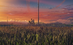 bicycle, anime, grass, landscape, sunset