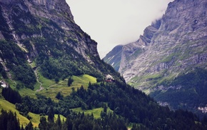 mountain, landscape