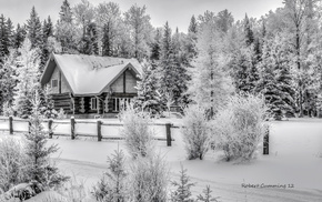 house, winter, nature