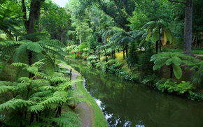 nature, river, greenery, runway, trees