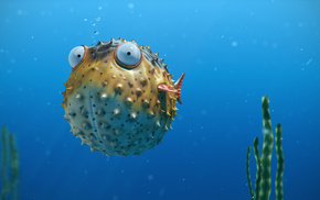 fish, 3D, ball, sea, eyes