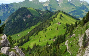 mountain, nature, forest, landscape, Switzerland