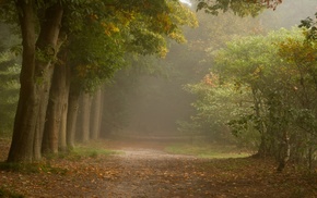 nature