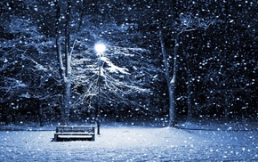 lantern, trees, winter, snow, cold