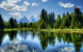 river, trees, mountain, nature, landscape, HDR