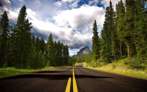 nature, road, trees, Canada