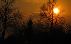 trees, nature, sunset, clouds, Sun