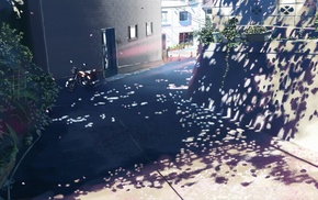 anime, plants, sunlight, 5 Centimeters Per Second, pavements, Makoto Shinkai