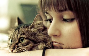 girl, brunette, cat