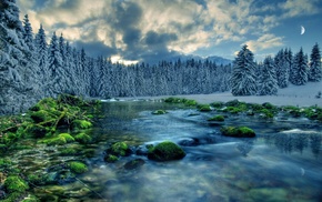 landscape, snow, river, trees, nature