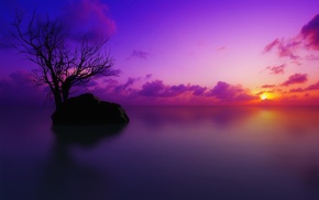 sunset, sea, trees, water