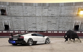 car, bulls, Lamborghini