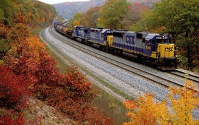 train, nature