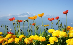 spring, Switzerland, lake, flowers, mountain