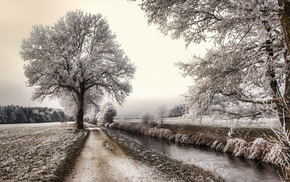 nature, road, landscape, trees