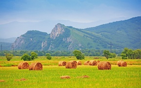 mountain, field, nature