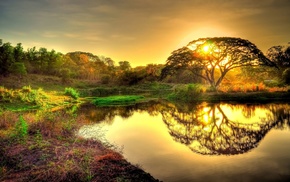 Sun, reflection, sunset, pond, nature