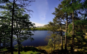 nature, landscape, trees, river