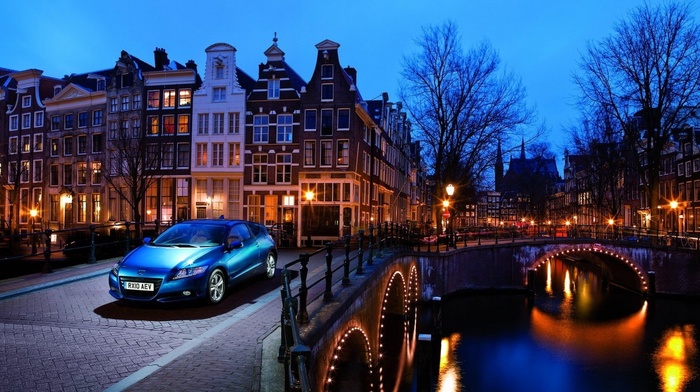 beauty, cars