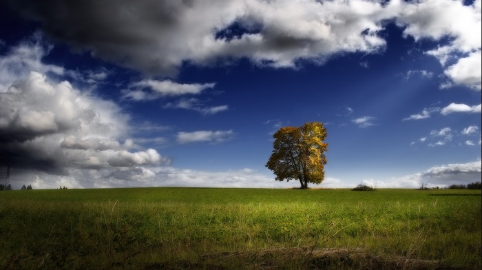 landscape, nature