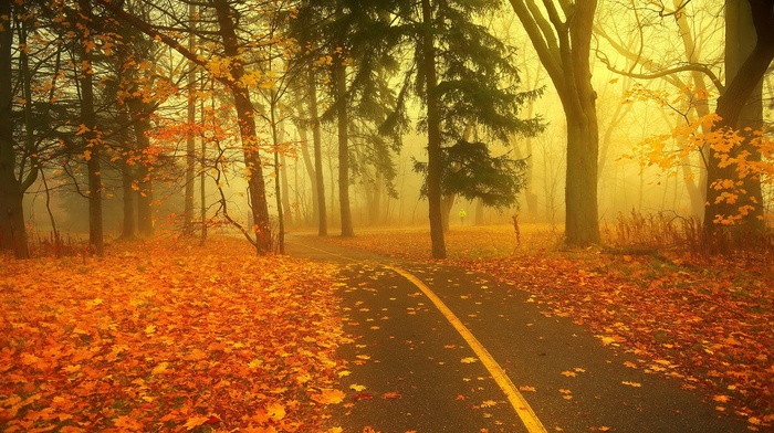 nature